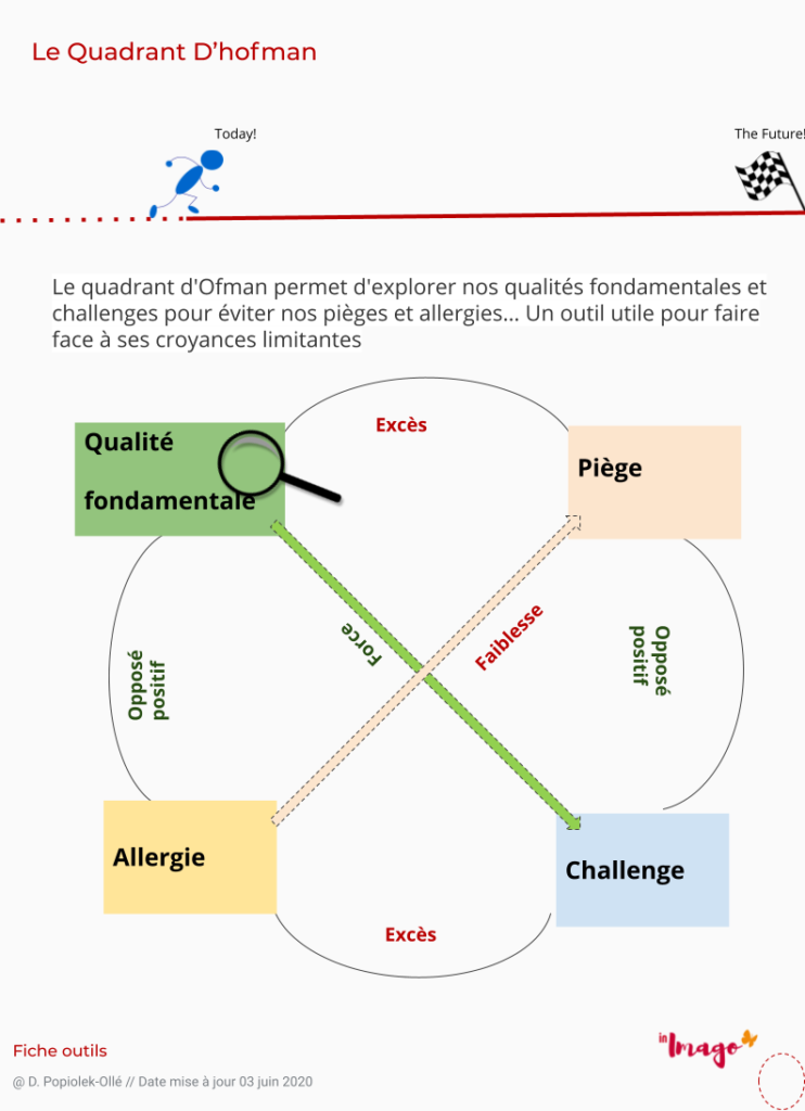 Quadran d'Hofman, croyances, valeurs et allergies