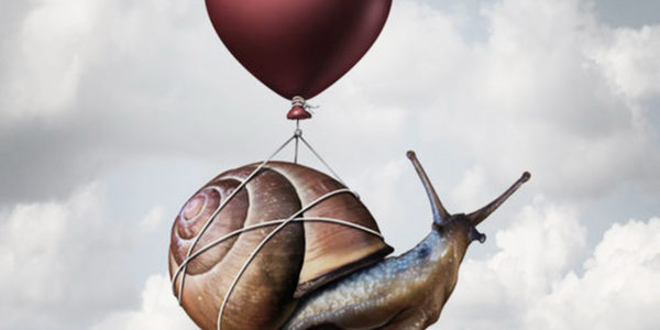 Culture client et valeurs Agile